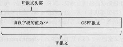 OSPF（HCNA）——OSPF协议详解