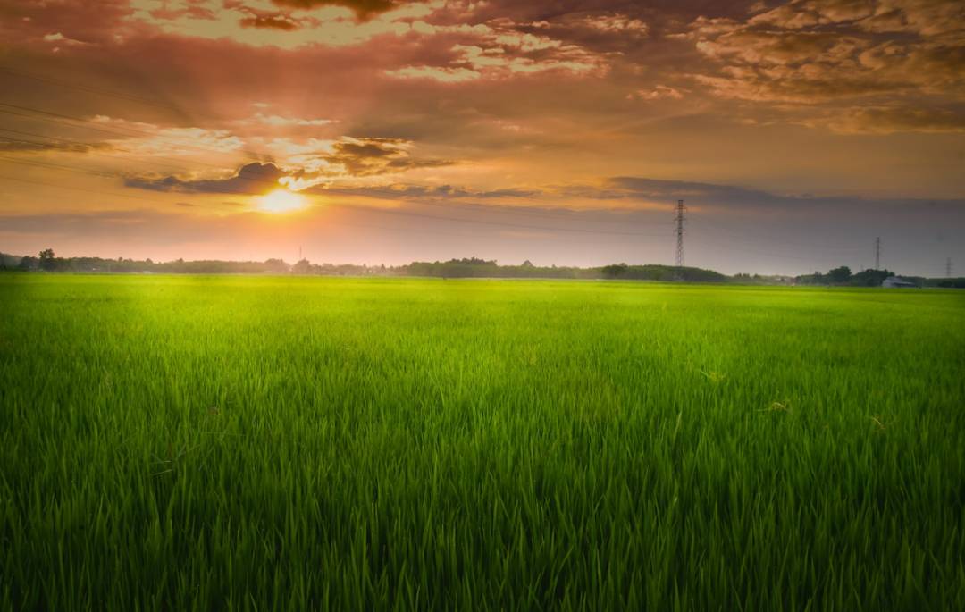 WMS仓储管理系统标准化流程