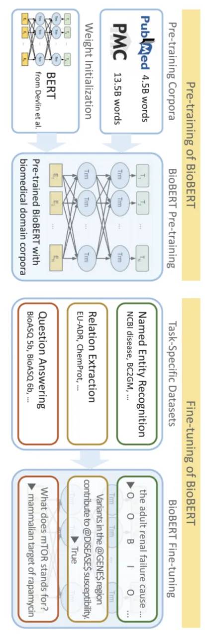 AI大模型全解析：带你深入了解这个技术新宠