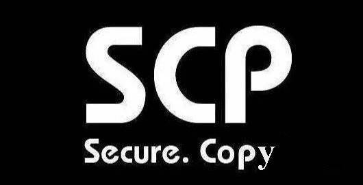 ESXI 7.0 之间互传文件