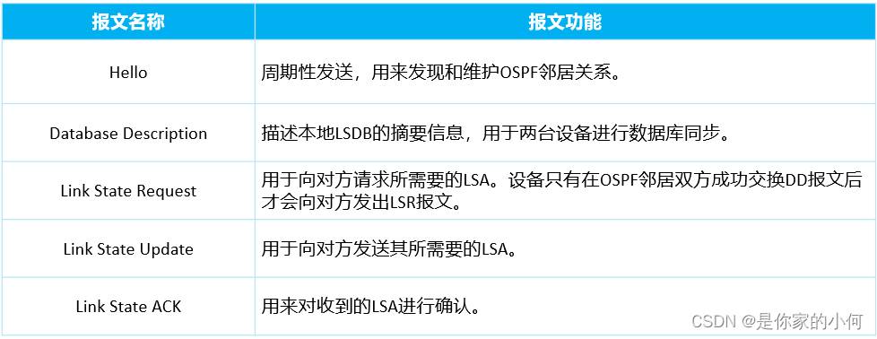 OSPF总结