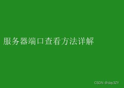 服务器端口怎么查，服务器端口查看方法详解