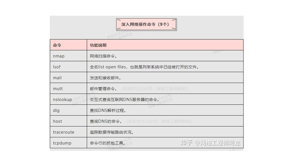 总结：linux运维常用命令